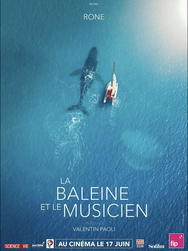 La baleine et le musicien