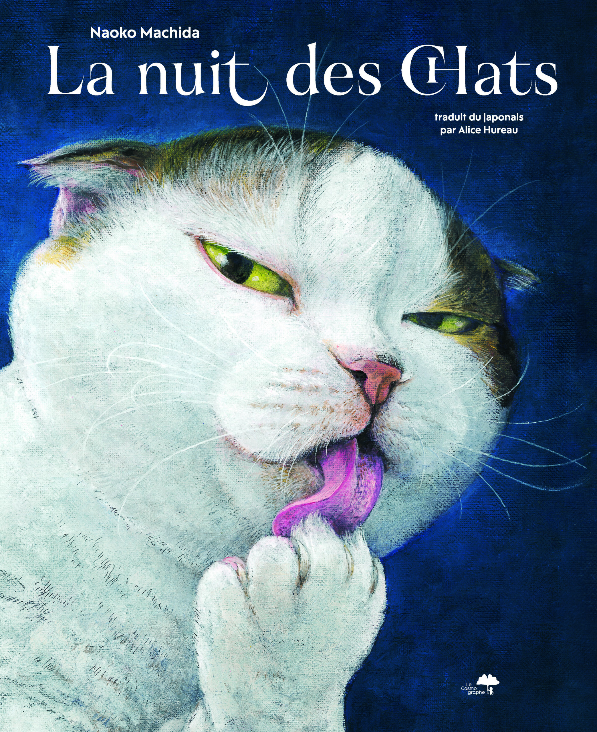 chats